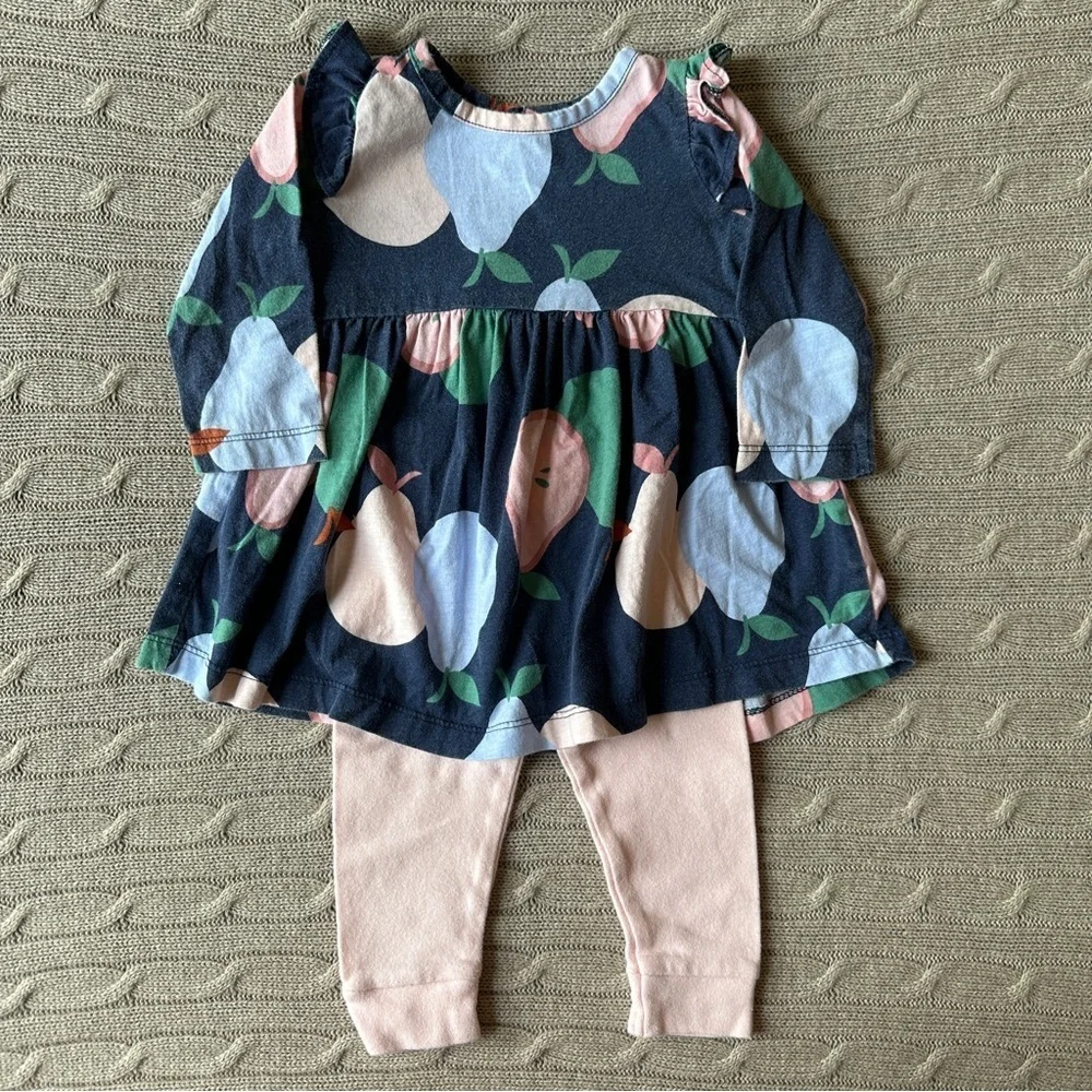 EUC Carter’s Baby Girl Outfit Set, Pink & Blue Pear, 9 Months